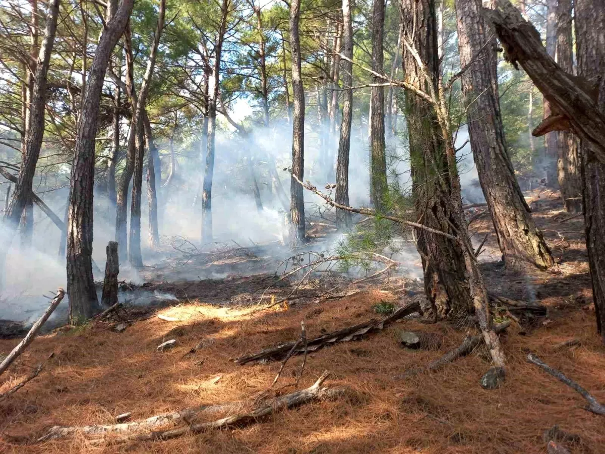 Kazdağları\'nda çıkan örtü yangını kontrol altına alındı