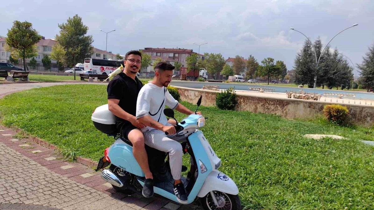 Bursa\'da Sahibinden Ayrılmayan Şakir İsimli Papağan Şehir Turu Atıyor