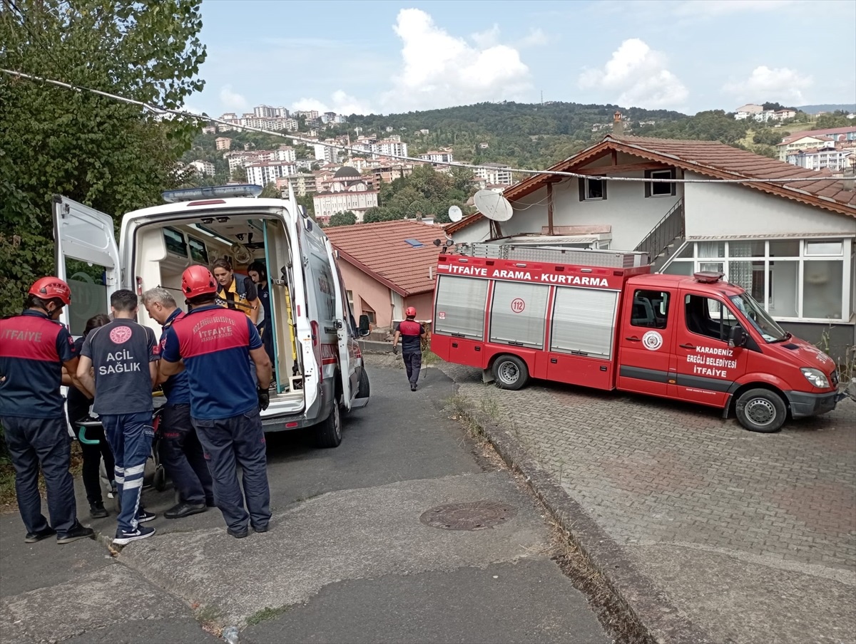 Zonguldak\'ta fındık toplarken düşen kadın tedavi altına alındı