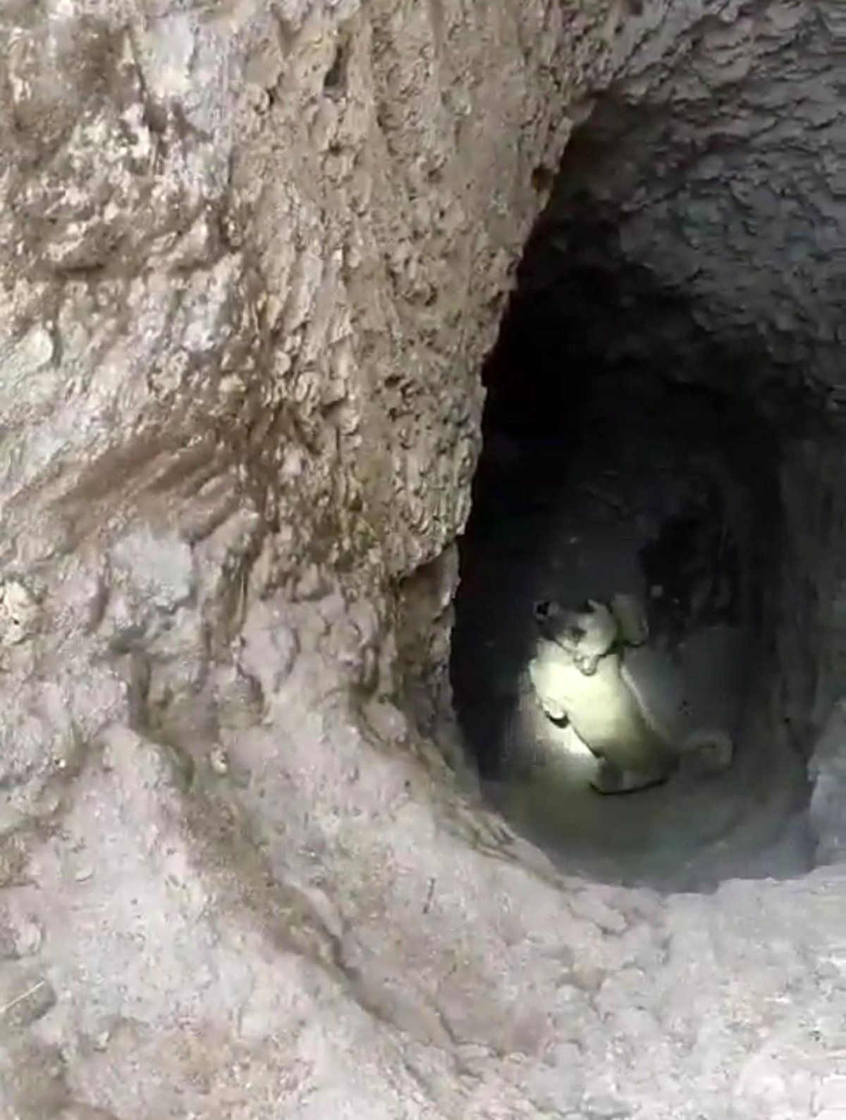 Hassa\'da su kuyusuna düşen köpek itfaiye ekipleri tarafından kurtarıldı