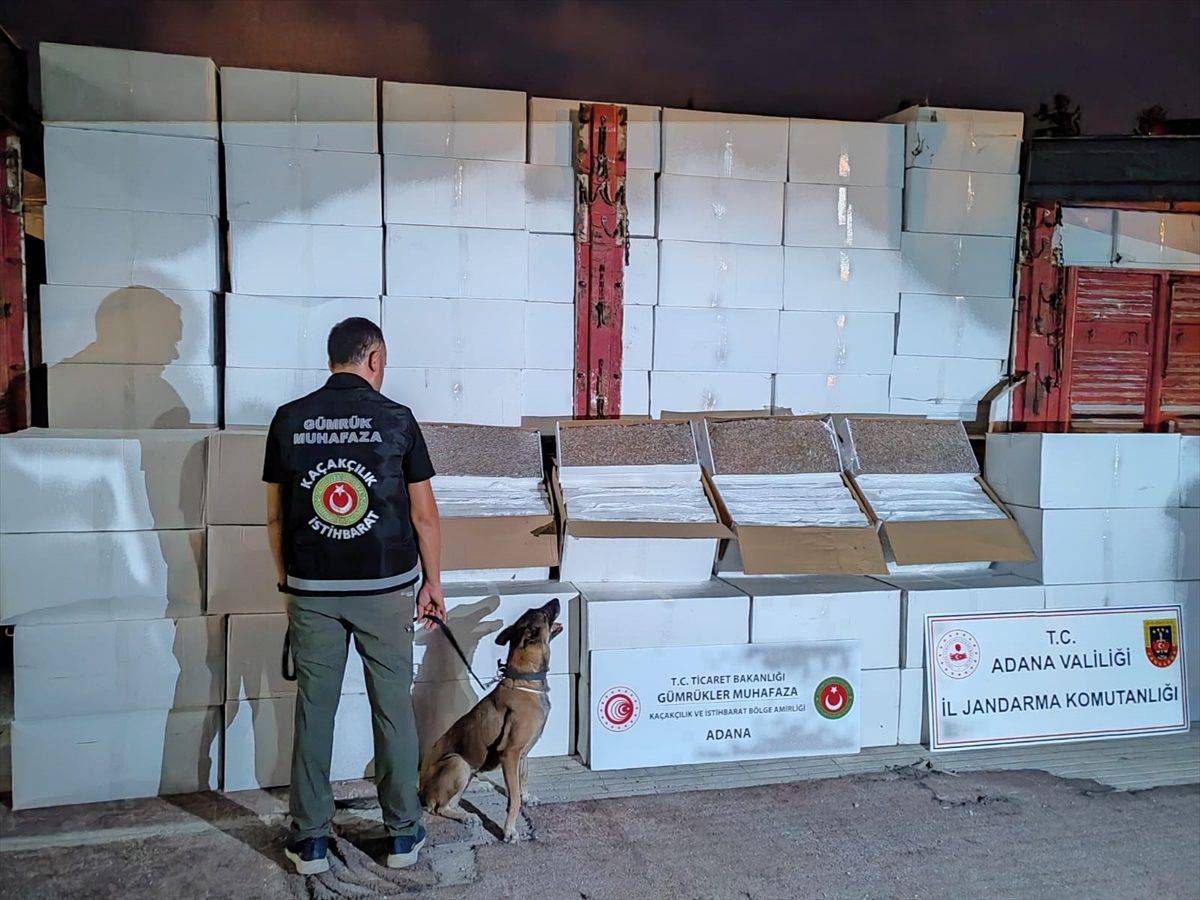 Ankara ve Adana\'da 7 Milyon 252 Bin 500 Kaçak Makaron Ele Geçirildi