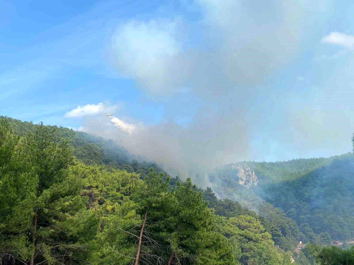 Çanakkale Ayvacık\'ta Orman Yangını