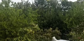 Elazığ'da minibüs şarampole devrildi, 3 kişi yaralandı