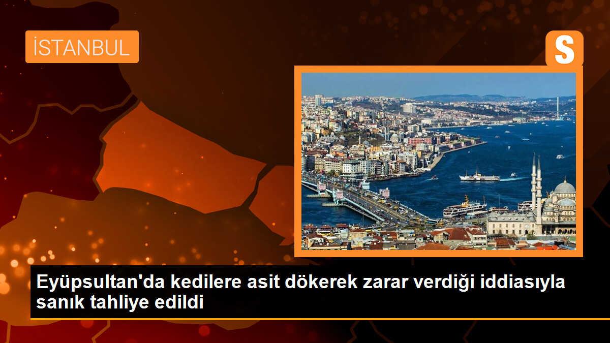 Eyüpsultan\'da kedilere asit dökerek zarar verdiği iddiasıyla sanık tahliye edildi