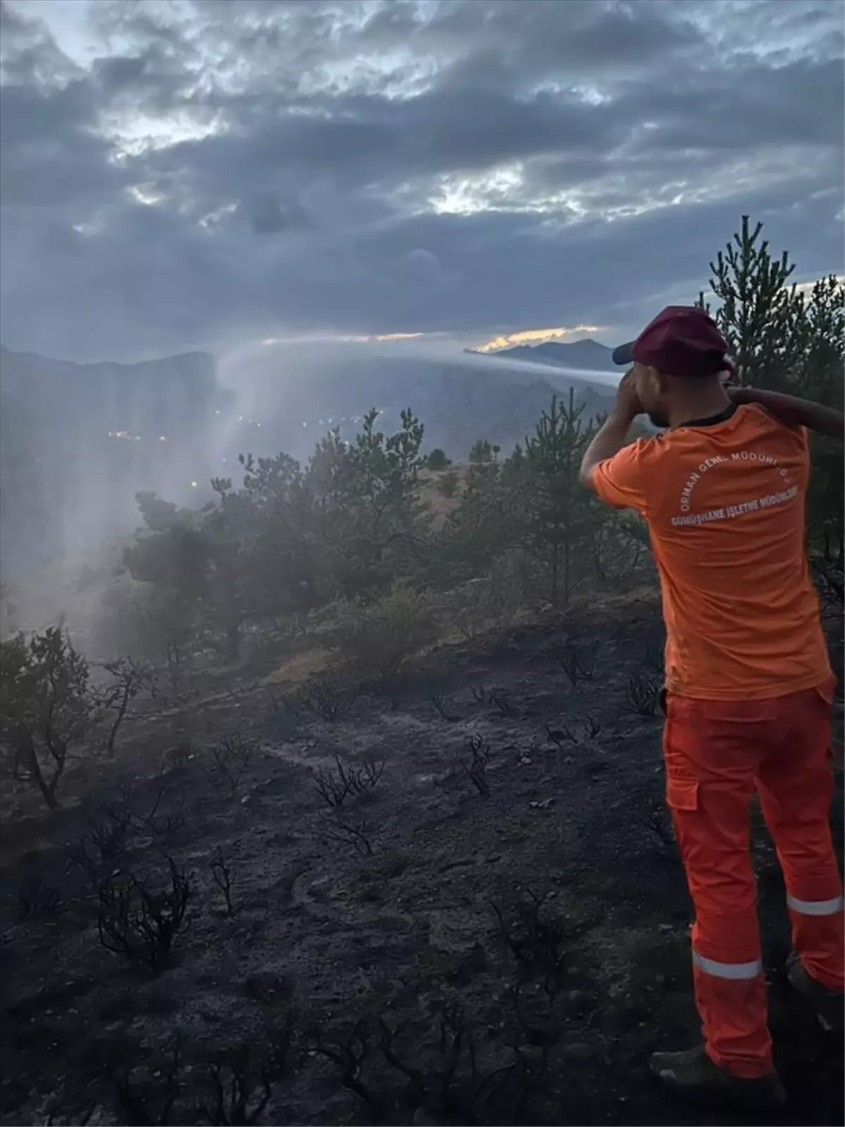 Gümüşhane'de iki örtü yangınında 5,5 hektarlık alan zarar gördü