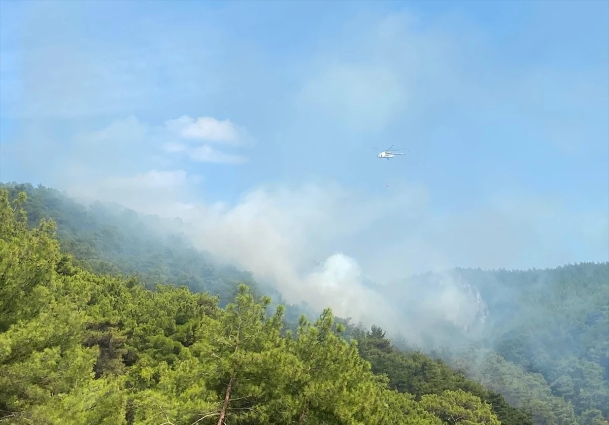 Çanakkale\'deki Orman Yangını Kontrol Altına Alındı