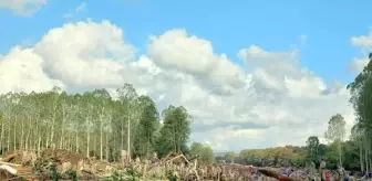 İğneada sel felaketinde kaybolan Ahmet Baki Şimşek'in cansız bedeni bulundu