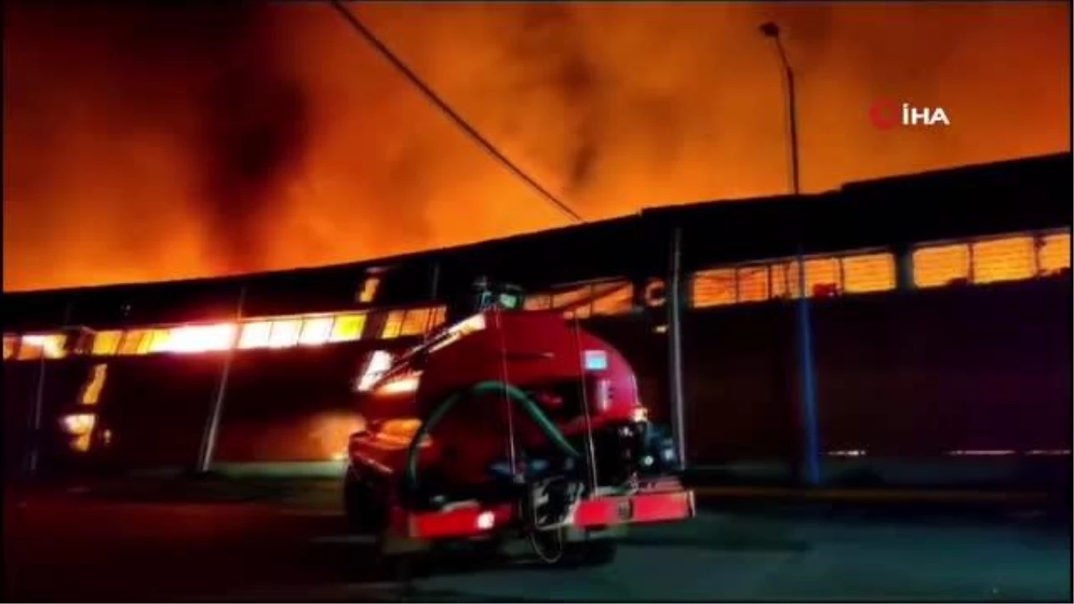 Meksika\'da tıbbi malzeme deposunda çıkan yangında 3 itfaiyeci dumandan zehirlendi