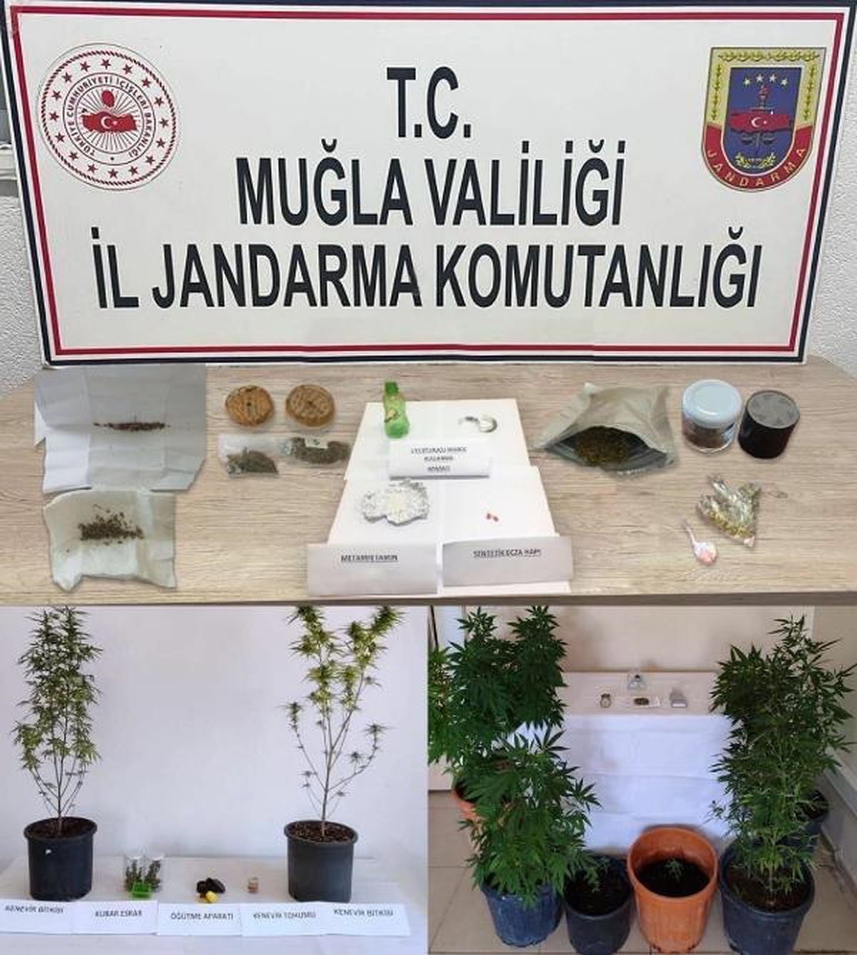 Muğla\'da düzenlenen operasyonlarda 24 şüpheli gözaltına alındı