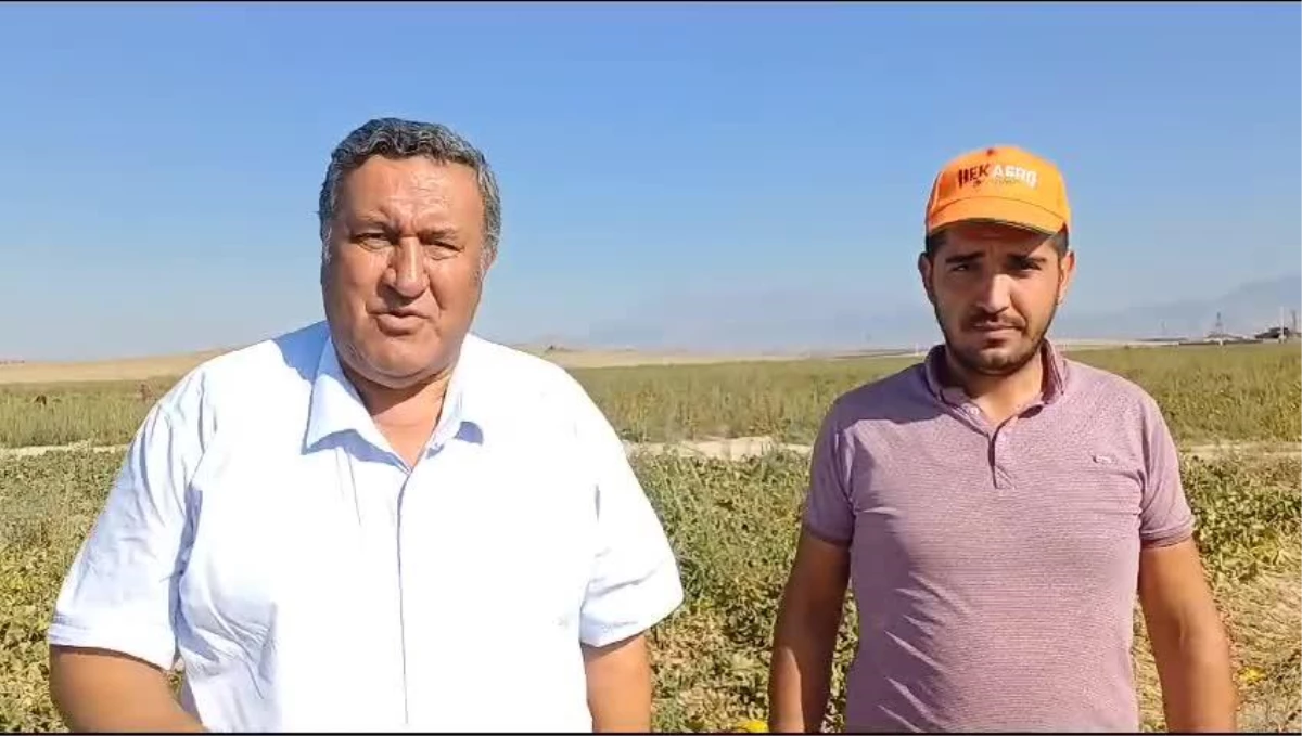 CHP Milletvekili Gürer, yabancılara arazi satışını sınırlandırmak için kanun teklifi verdi