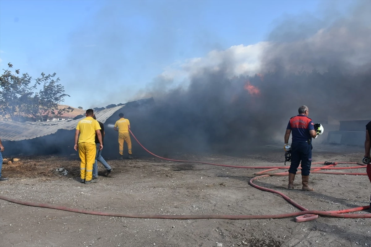 Sinop\'ta mangal kömürü üretim atölyesinde çıkan yangın söndürüldü