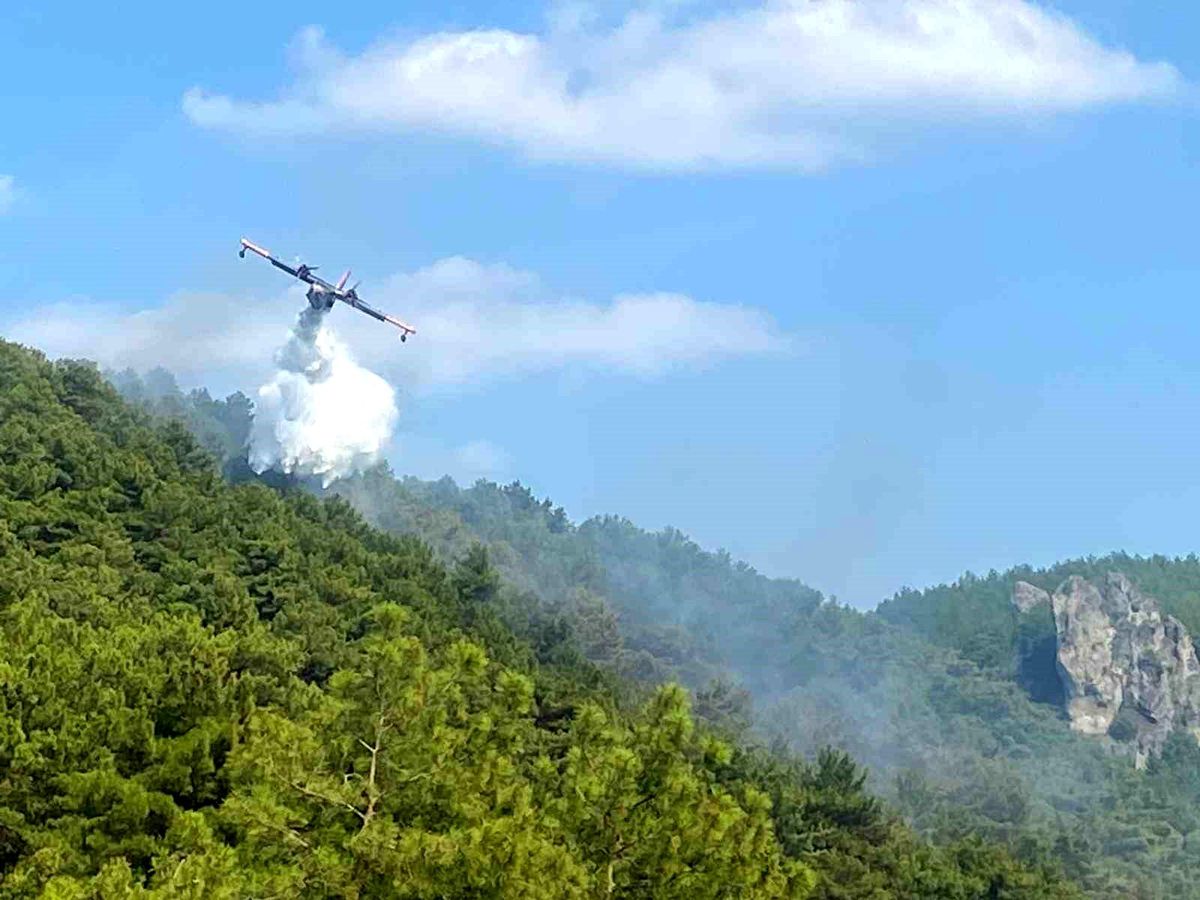 Çanakkale\'de Orman Yangını Kontrol Altına Alınmaya Çalışılıyor