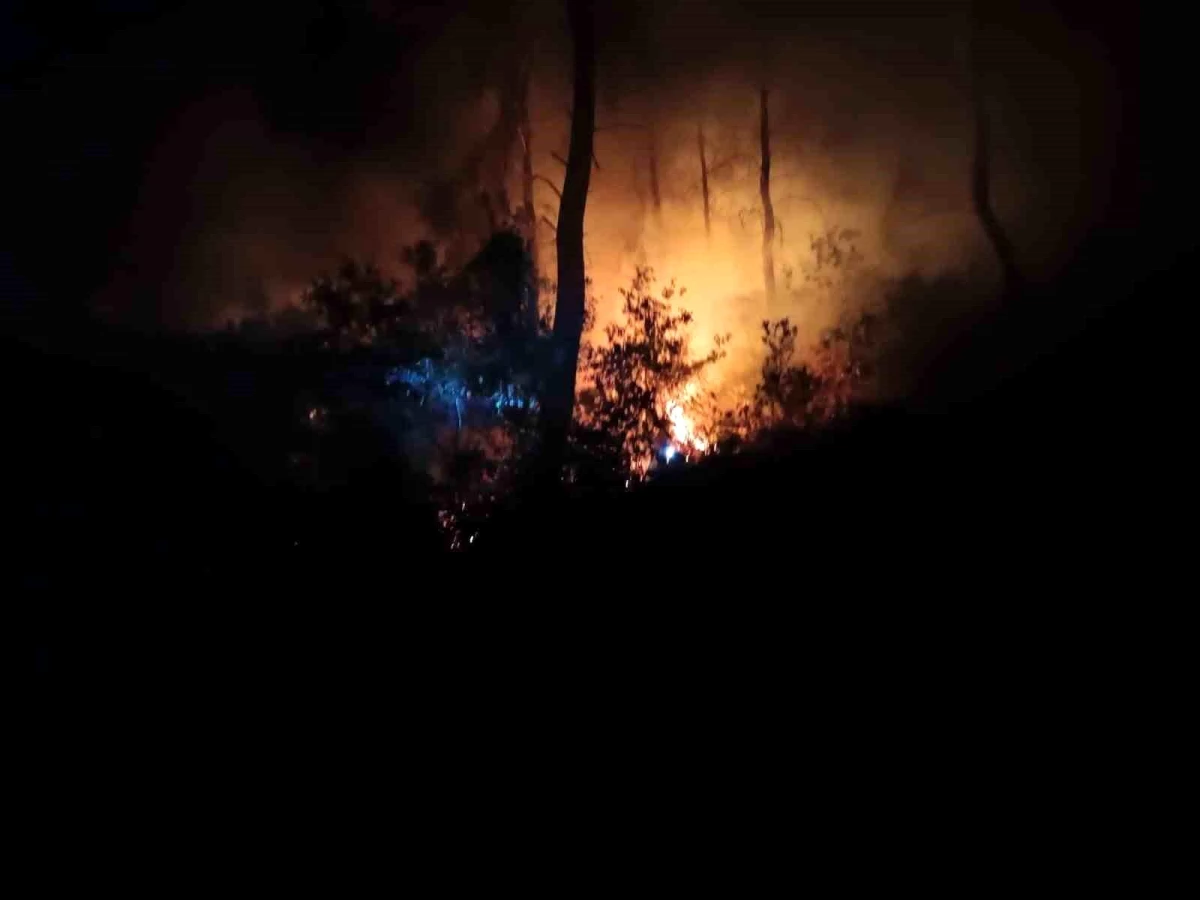 Adana İmamoğlu\'nda Yeniden Orman Yangını Çıktı
