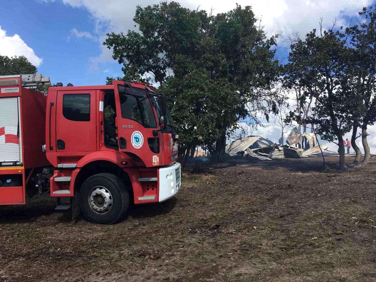 Tekirdağ\'da Ağılda Çıkan Yangın Ormana Sıçramadan Söndürüldü