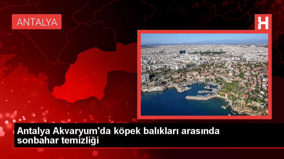 Antalya Akvaryum'da Sonbahar Temizliği