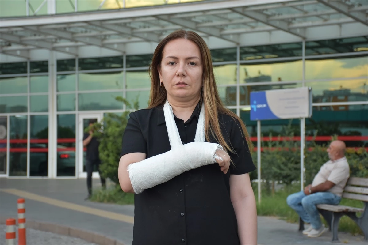 Antalya\'da pitbull saldırısı: Kadının kolu kırıldı
