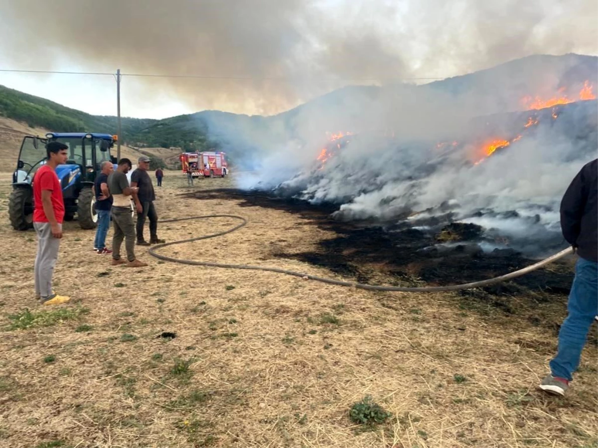 Erzurum\'da Ot Yangını: Vatandaşın Bir Yıllık Emeği Kül Oldu