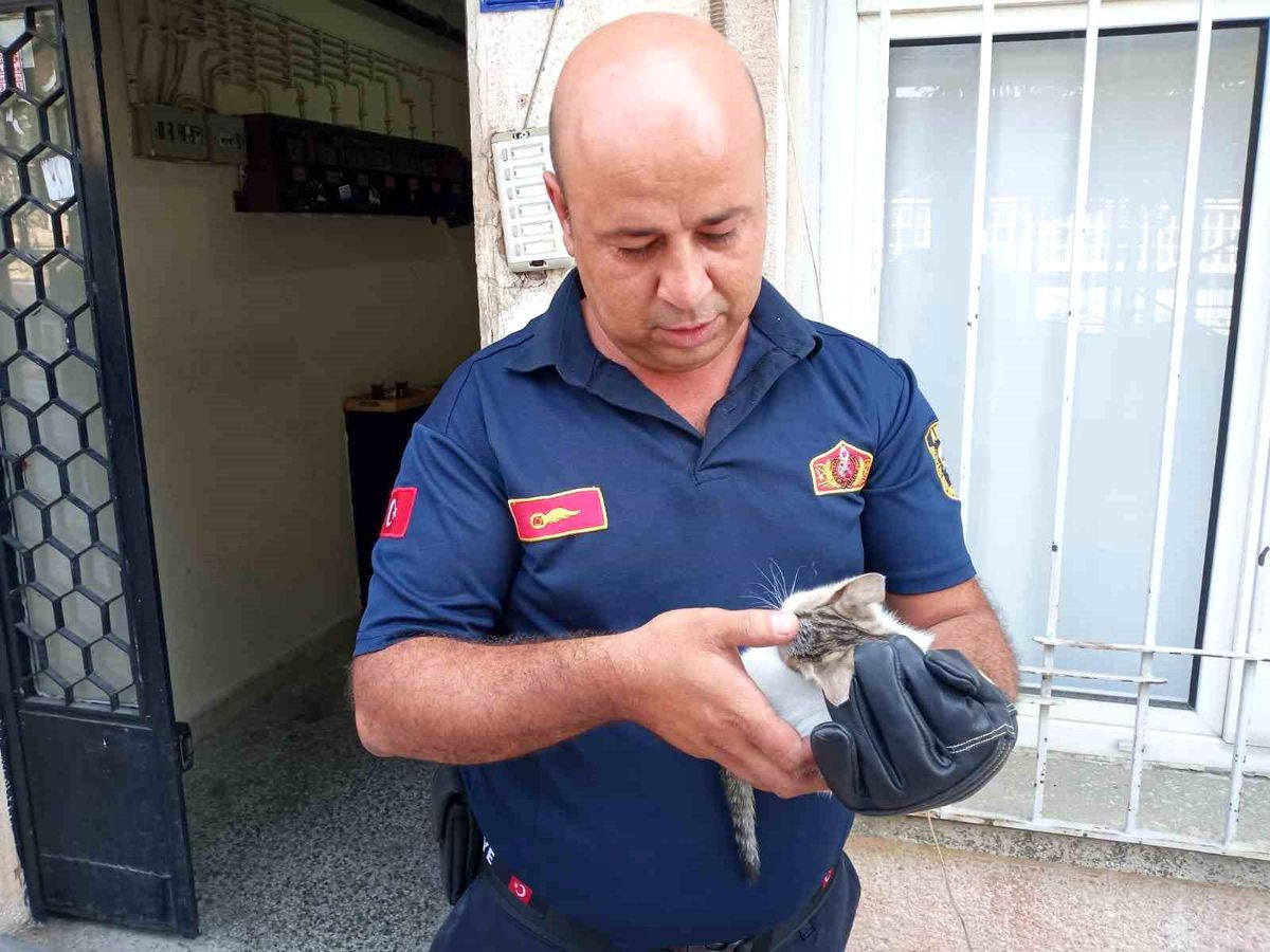 Aydın\'da İtfaiye Ekipleri Yavru Kediyi Kurtardı