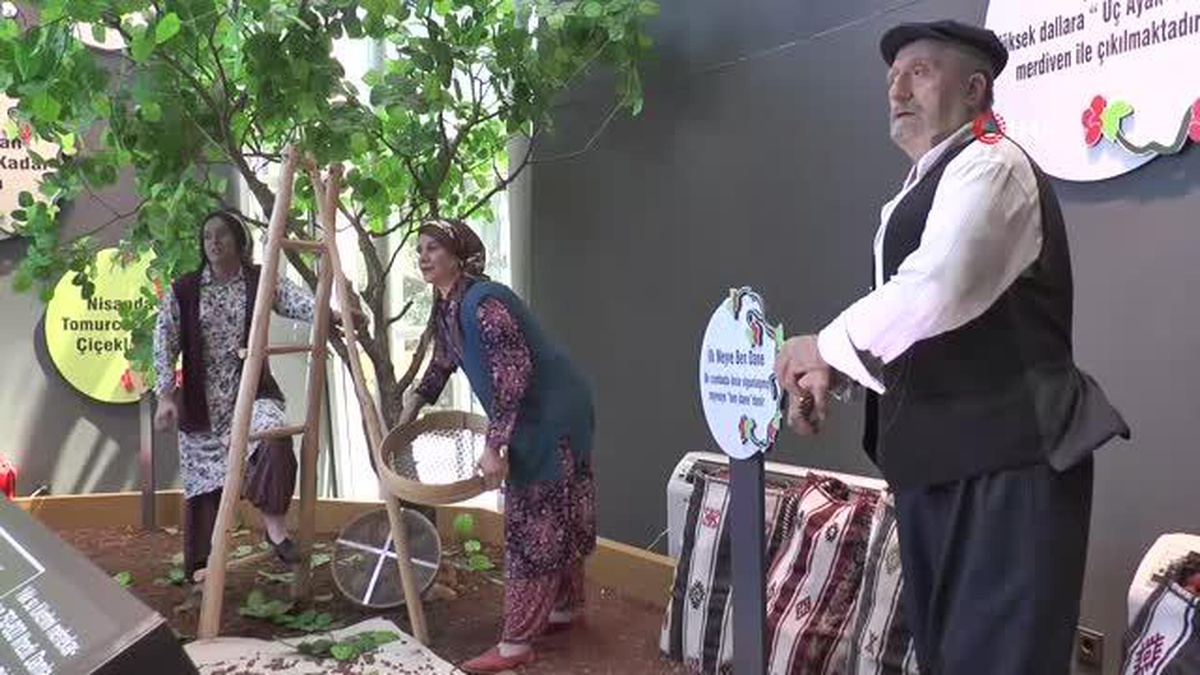 Dünyanın ilk ve tek fıstık müzesi Gaziantep\'te