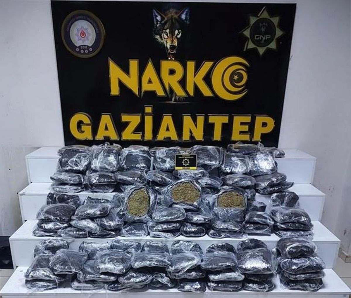 Gaziantep\'te 51 Kilo Skunk Ele Geçirildi
