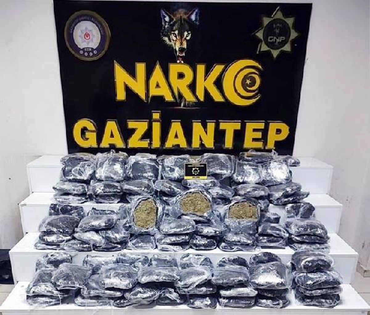 Gaziantep'te 51 kilogram skunk ele geçirildi