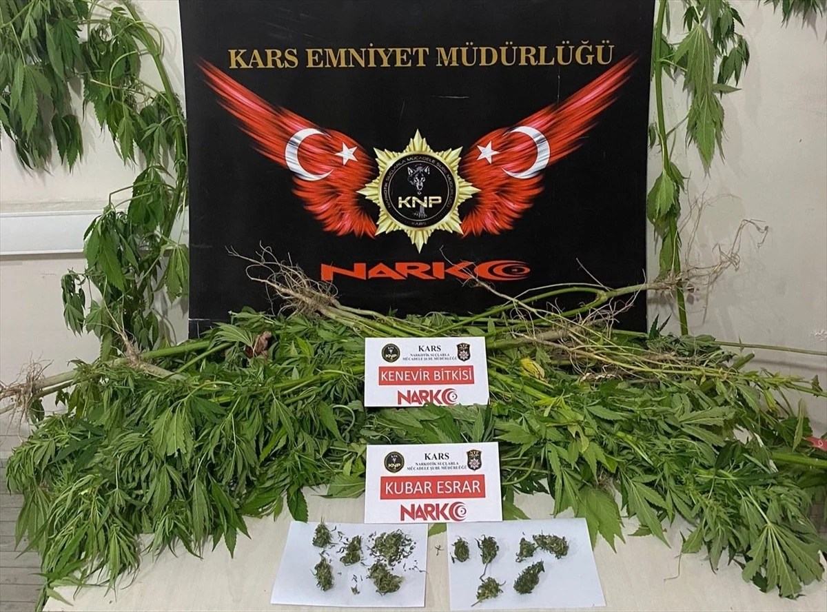 Kars\'ın Kağızman ilçesinde uyuşturucu operasyonu: 2 şüpheli gözaltına alındı