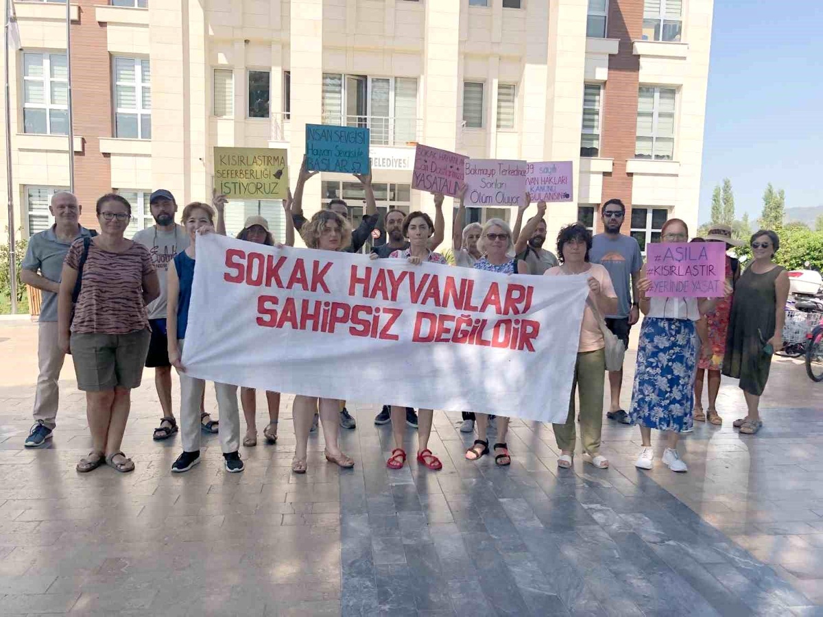 Köyceğiz\'de Hayvanseverlerden Çağrı: Sesimize Kulak Verin