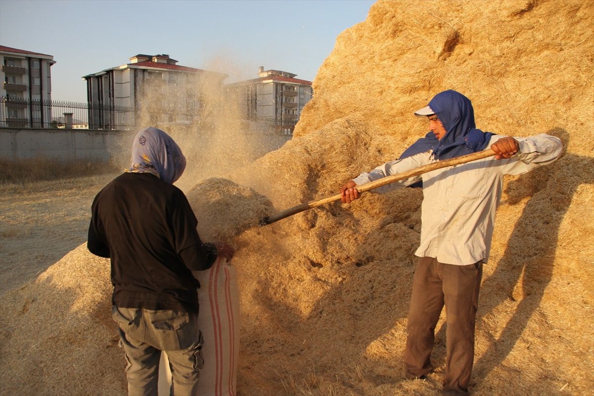 Muş\'ta hasat tamamlandı, saman satışı başladı