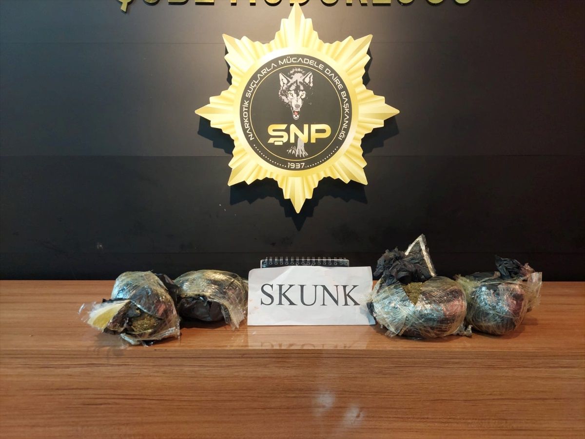 Şanlıurfa\'da 2 kilo 950 gram skunk ele geçirildi, 2 şüpheli gözaltına alındı