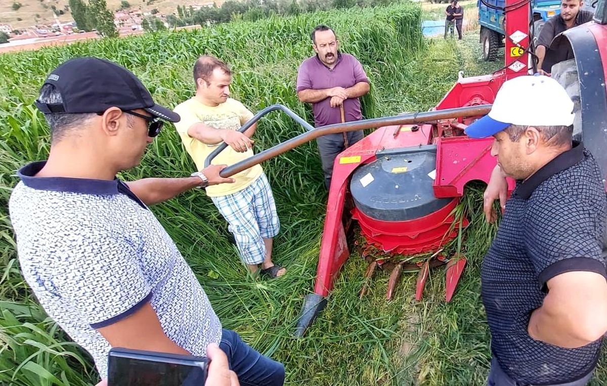 Afyonkarahisar\'da devlet destekli ekimi yapılan sorgum sudan otu melezi hasadı yapıldı