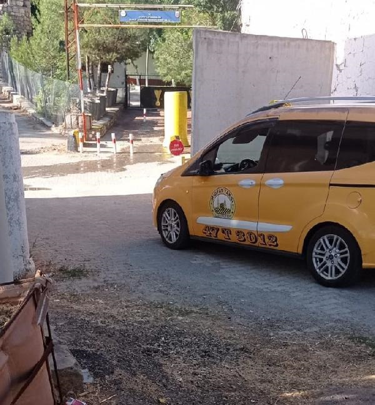 Midyat\'ta Taksinin Çarptığı Eşek Yaralandı