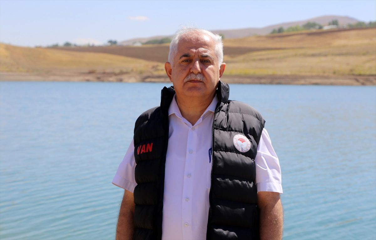 Van\'daki göletlere 900 bin sazan balığı yavrusu salındı