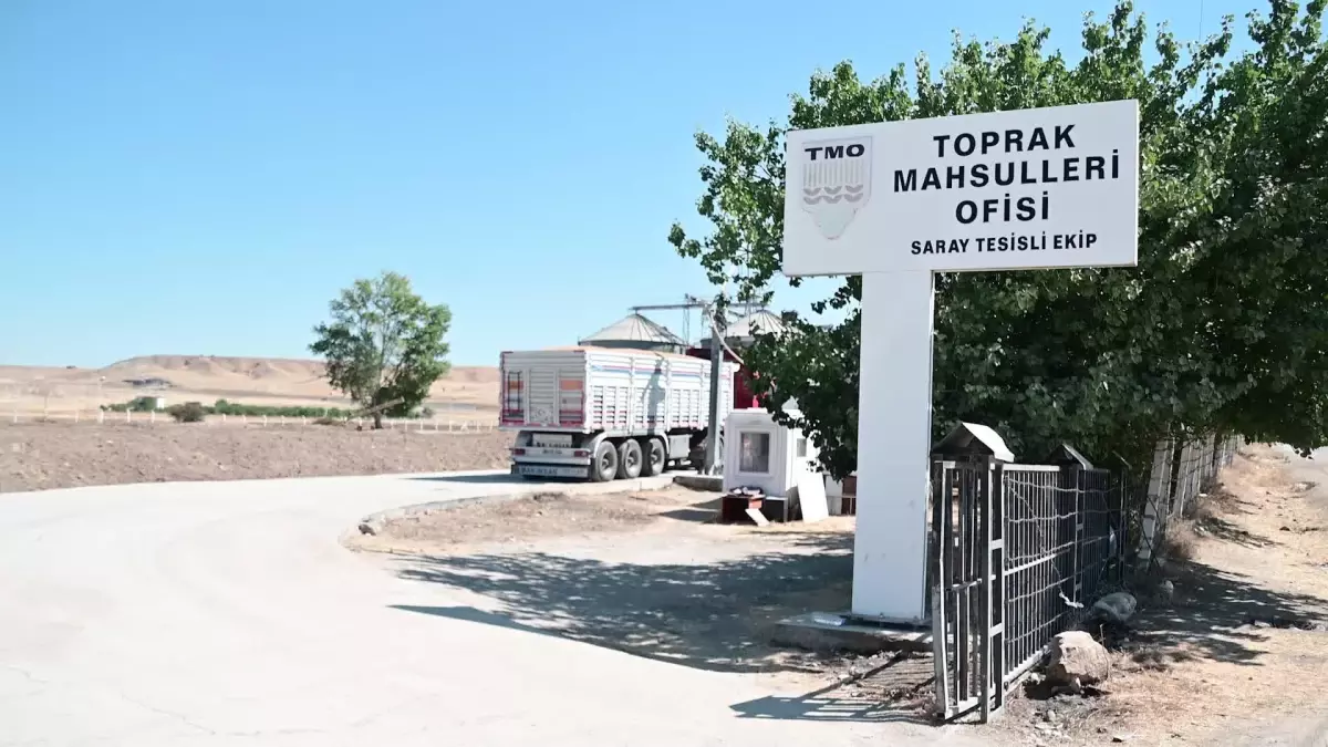 Yozgat\'ta Silolar Dolunca 270 Bin Ton Hububat Açık Alanlara Depolandı