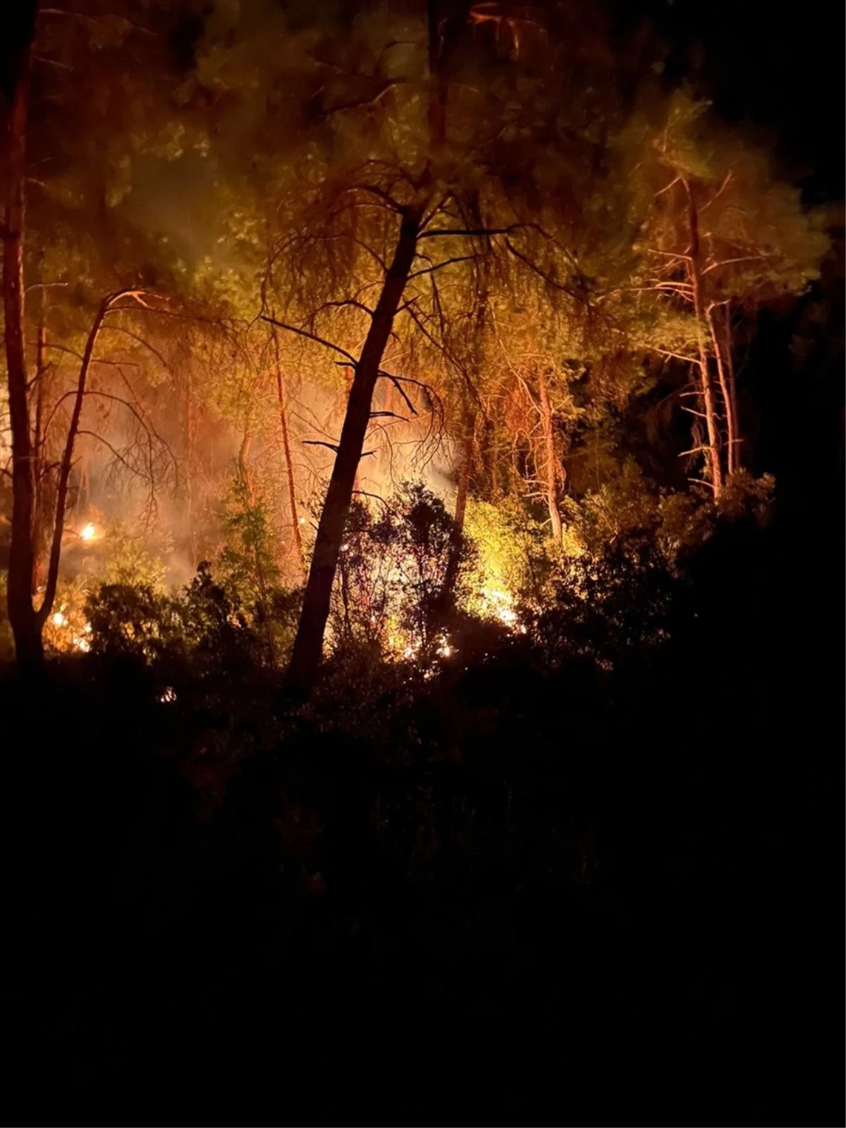 Adana İmamoğlu\'nda Orman Yangını Kontrol Altına Alınmaya Çalışılıyor