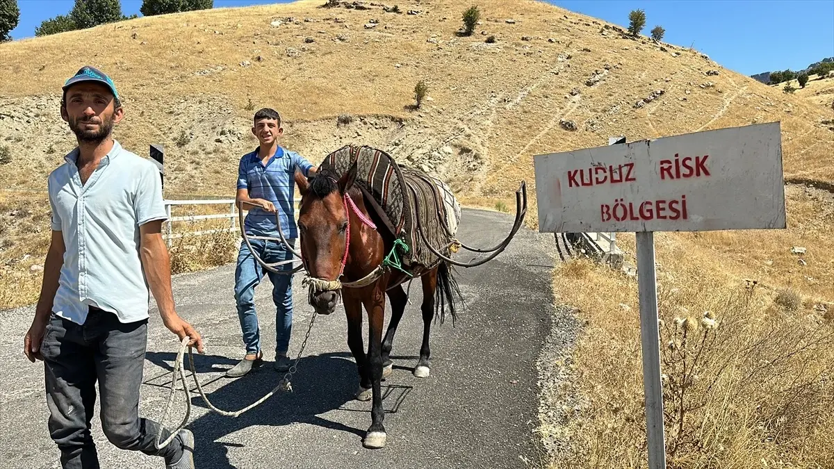 Adıyaman\'ın Gerger ilçesinde kuduzlu at tespit edildi, köy karantinaya alındı