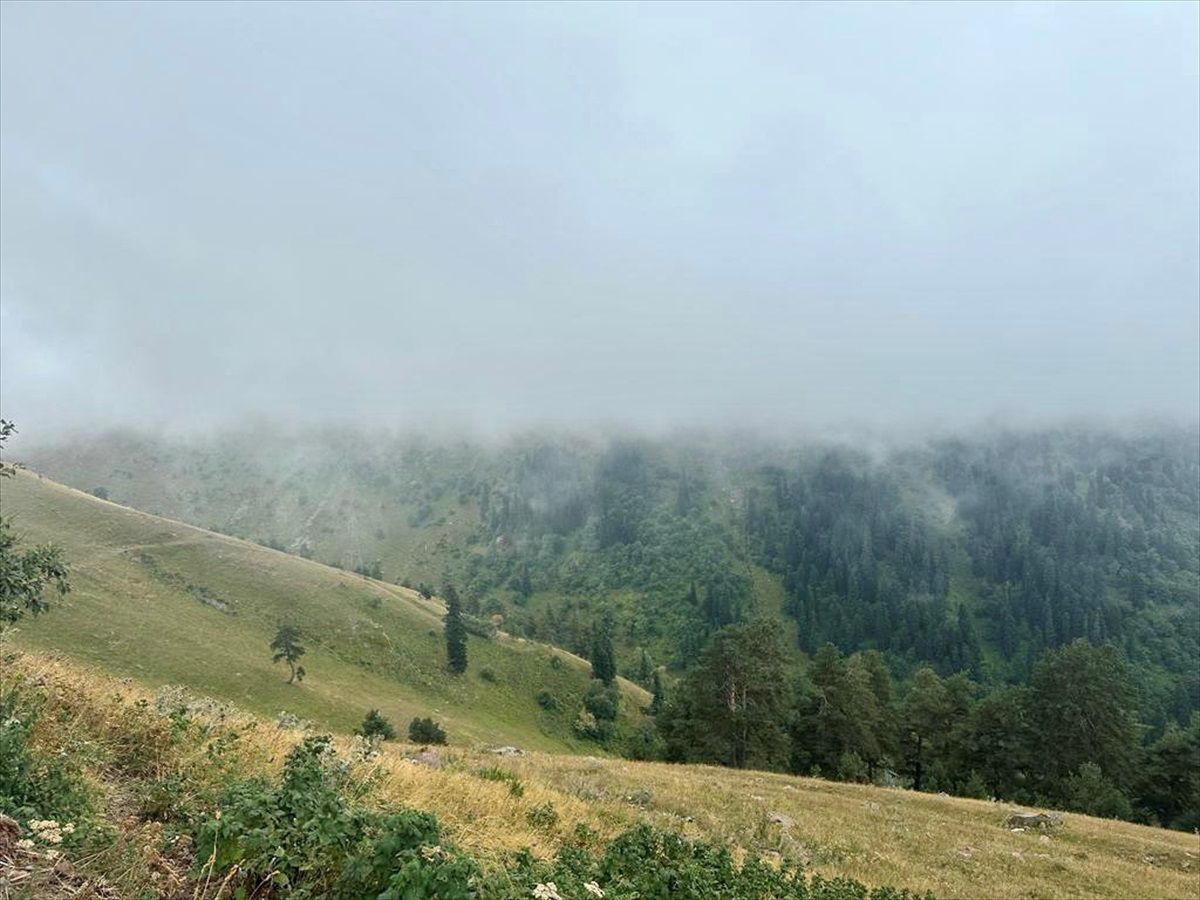 Ardahan\'da sis etkili oldu