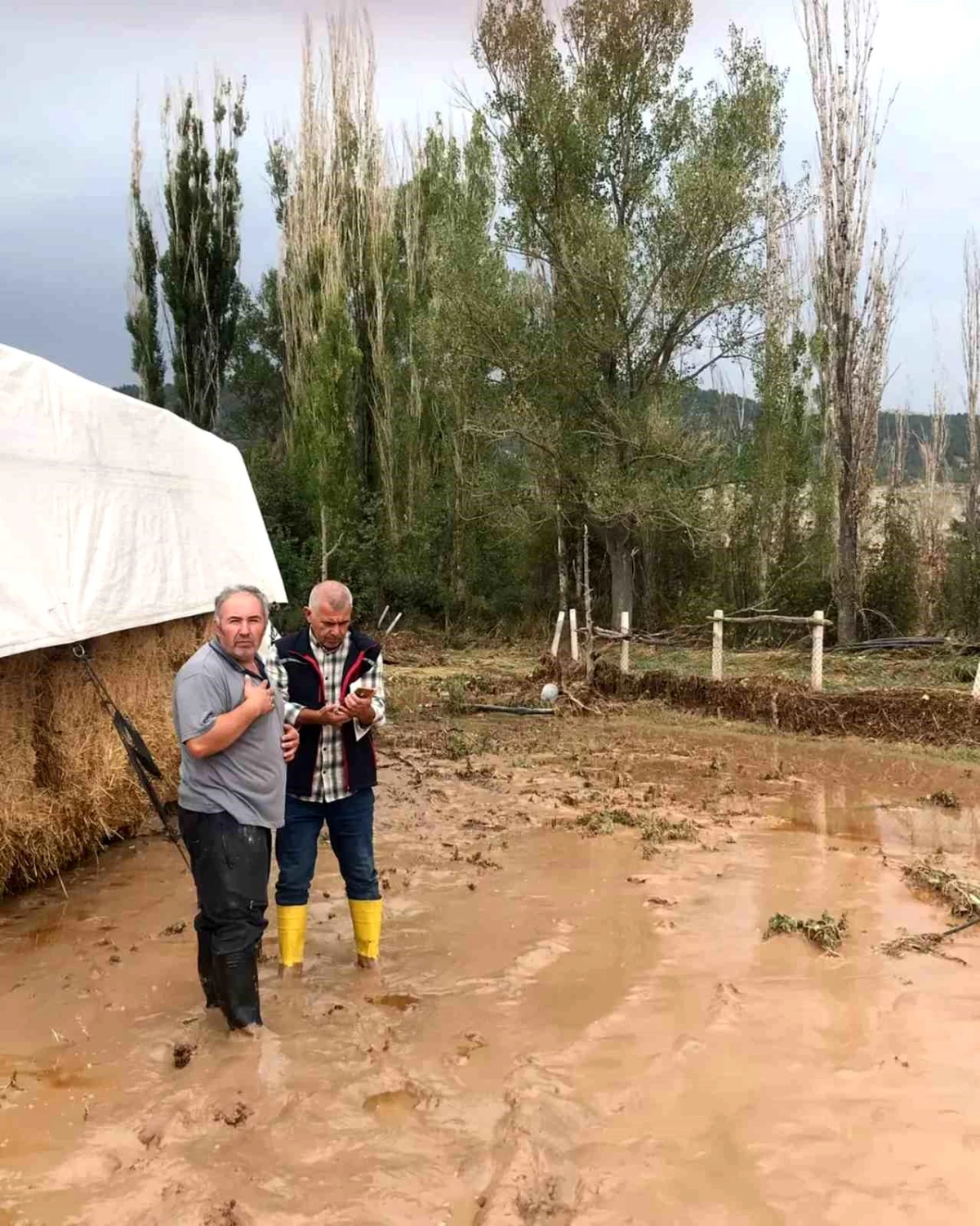Bolu\'nun Göynük ilçesinde aşırı yağışlar tarlalarda ve yollarda hasara neden oldu