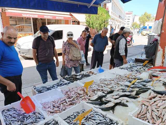 Hamside yaşanan bolluk tezgahlara yansıdı! Kilosu 50 liradan satılıyor Hamside yaşanan bolluk tezgahlara yansıdı! Kilosu 50 liradan satılıyor