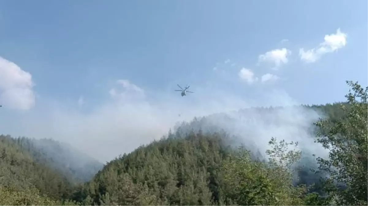 Osmaniye'de Orman Yangını Çıktı