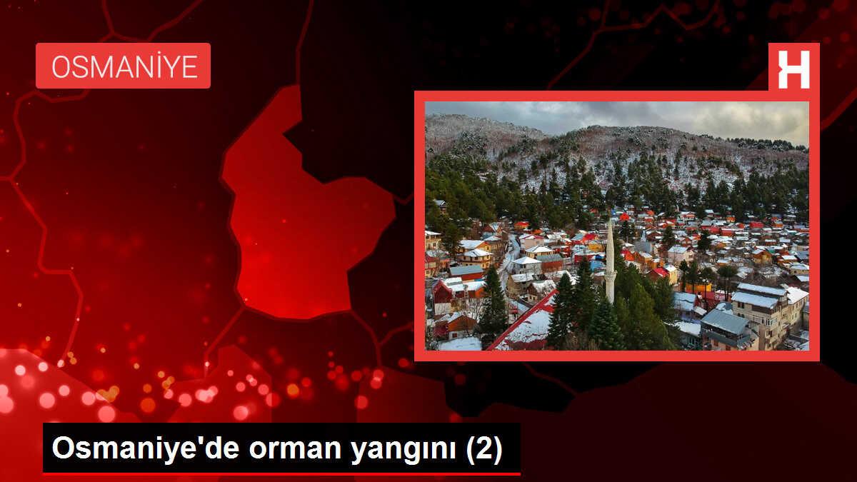 Osmaniye'de orman yangını (2)