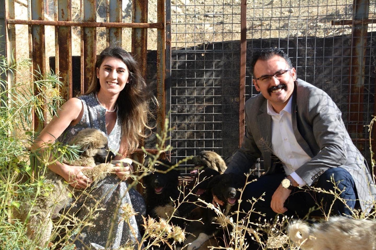 Hakkari\'de Kaymakam ve Eşi Yavru Köpeklere Sahip Çıktı