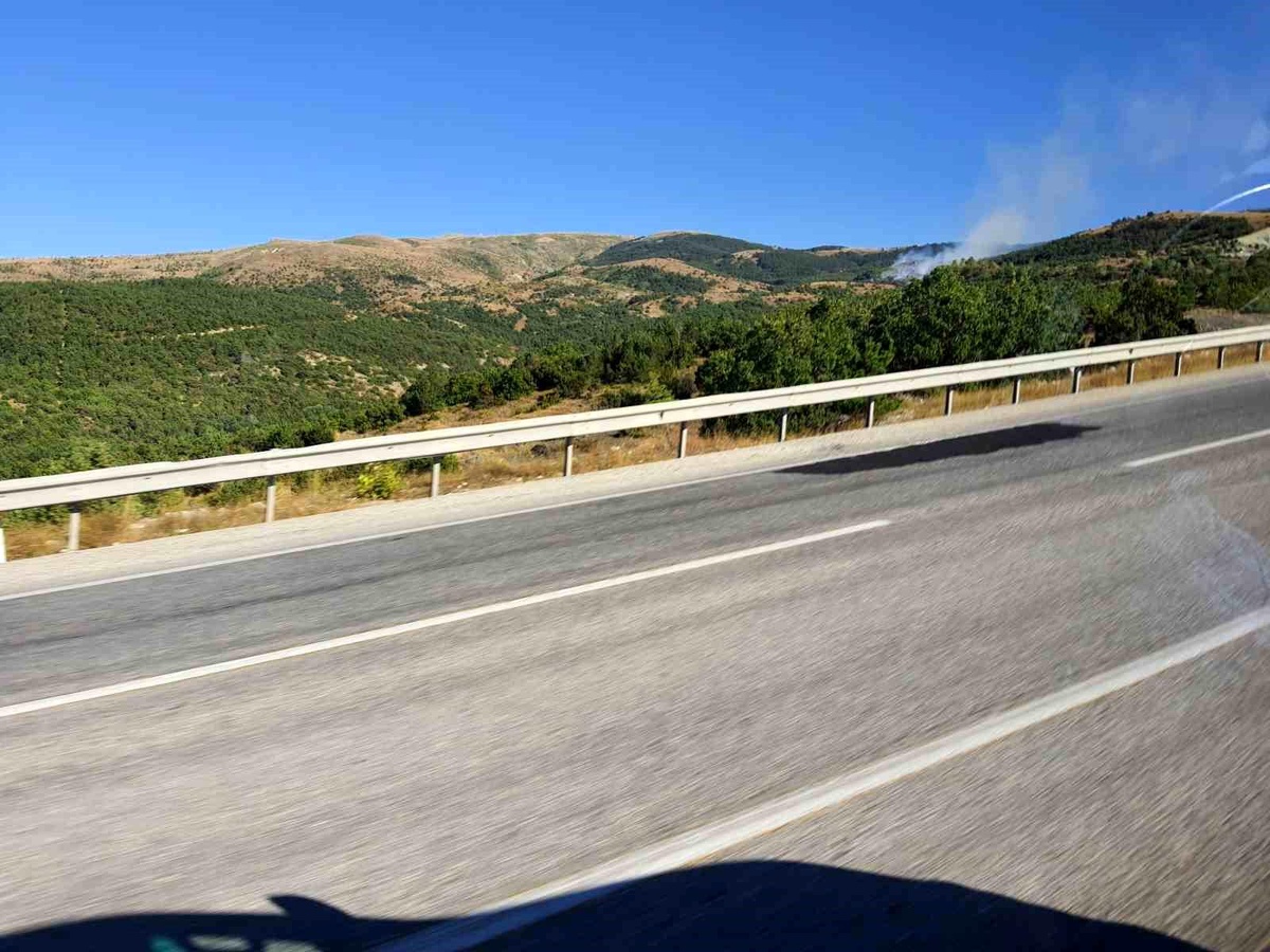 Tokat\'ın Çamlıbel ilçesinde çıkan yangın kontrol altına alındı