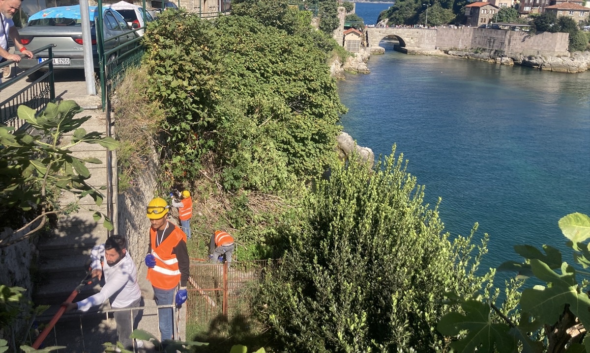 Amasra Kalesi\'nde Taşları Düşüren Ağaçların Köklerine Temizlik Çalışması