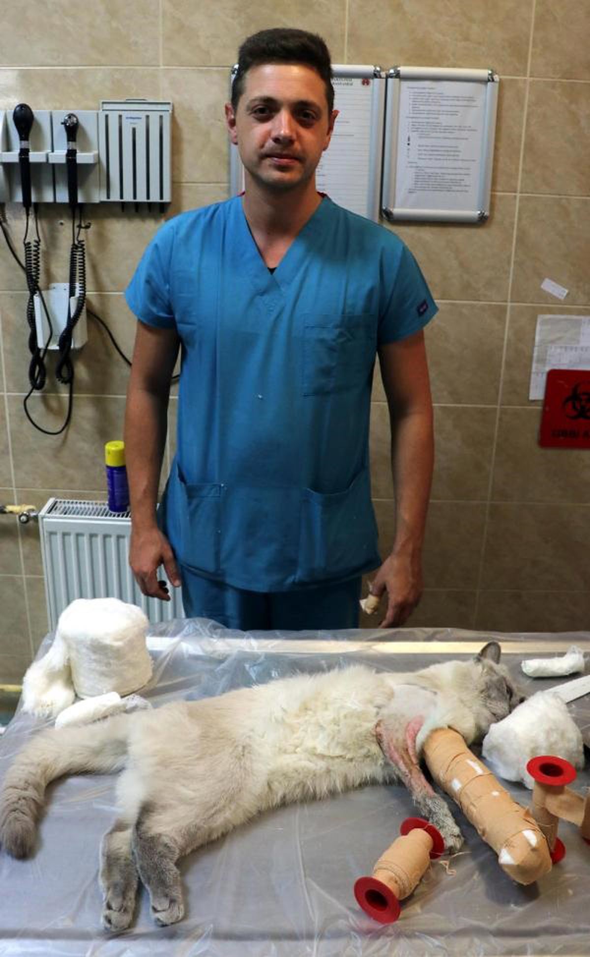 Kediye düşme sonucu platin takıldı