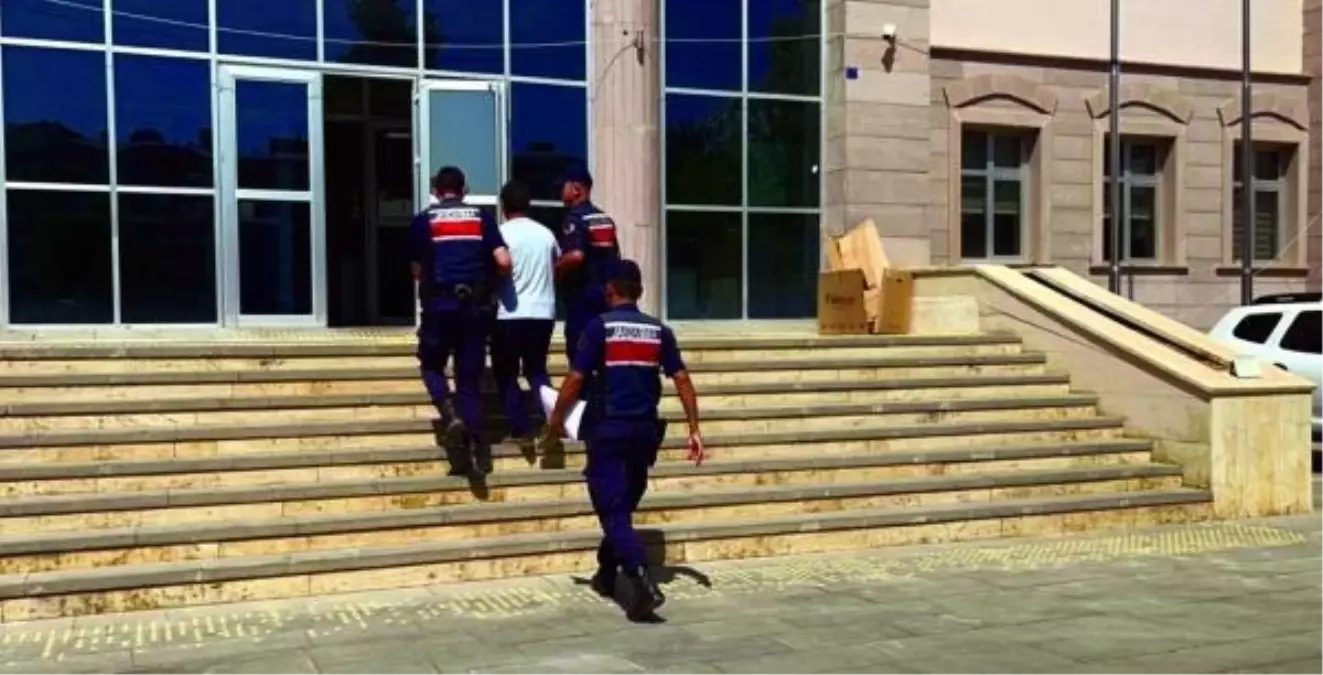 Kahramanmaraş'ta Orman Yangını: 50 Hektarlık Alan Kül Oldu