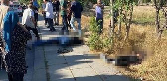 Boşanma aşamasındaki eşini ve baldızını öldürüp aynı silahla intihar etti