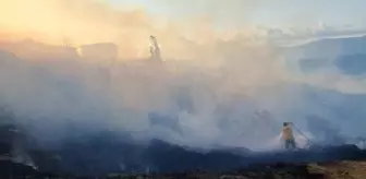 Bandırma'da Otluk Alanda Yangın Çıktı