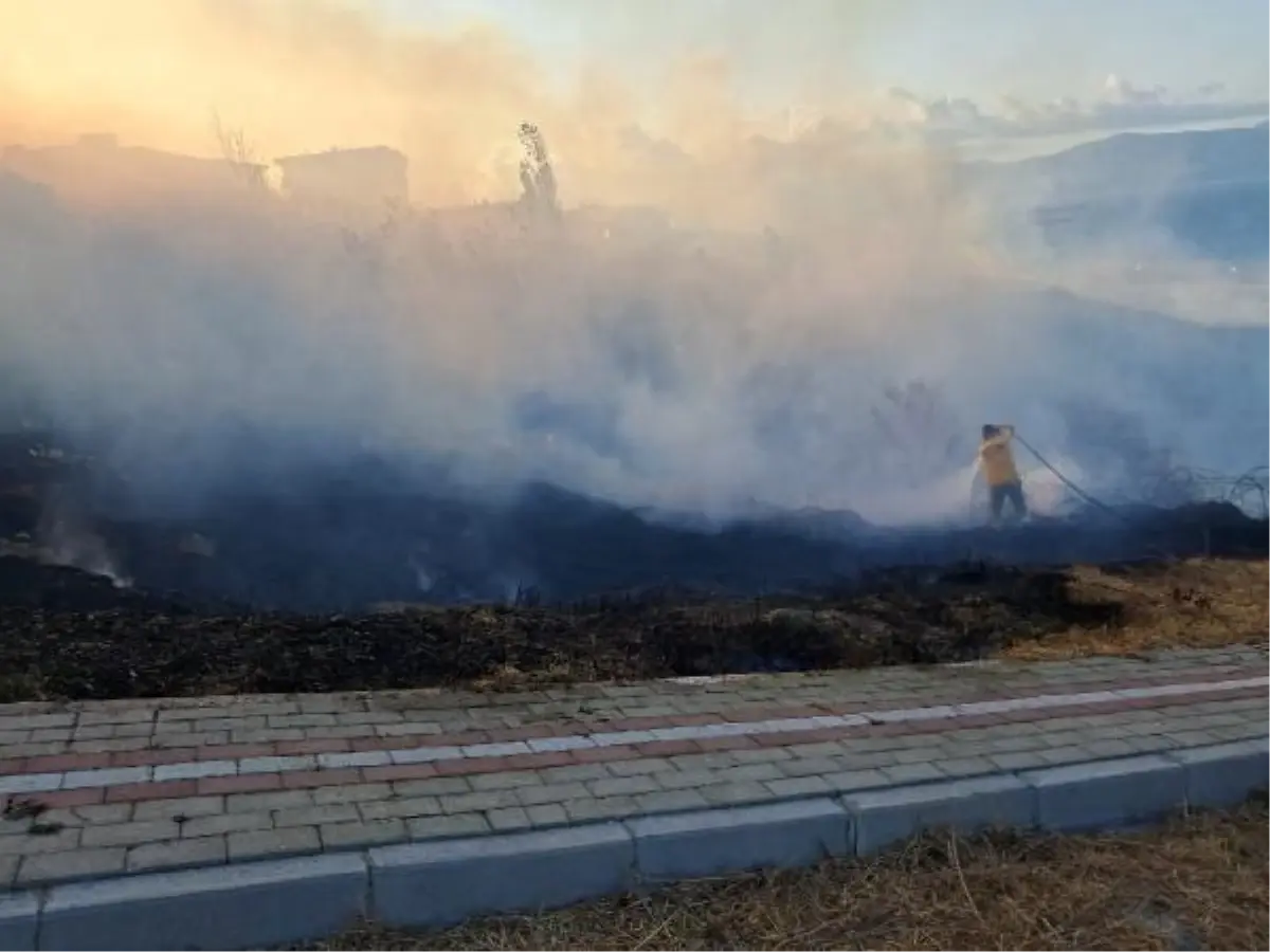 Bandırma'da Otluk Alanda Yangın Çıktı