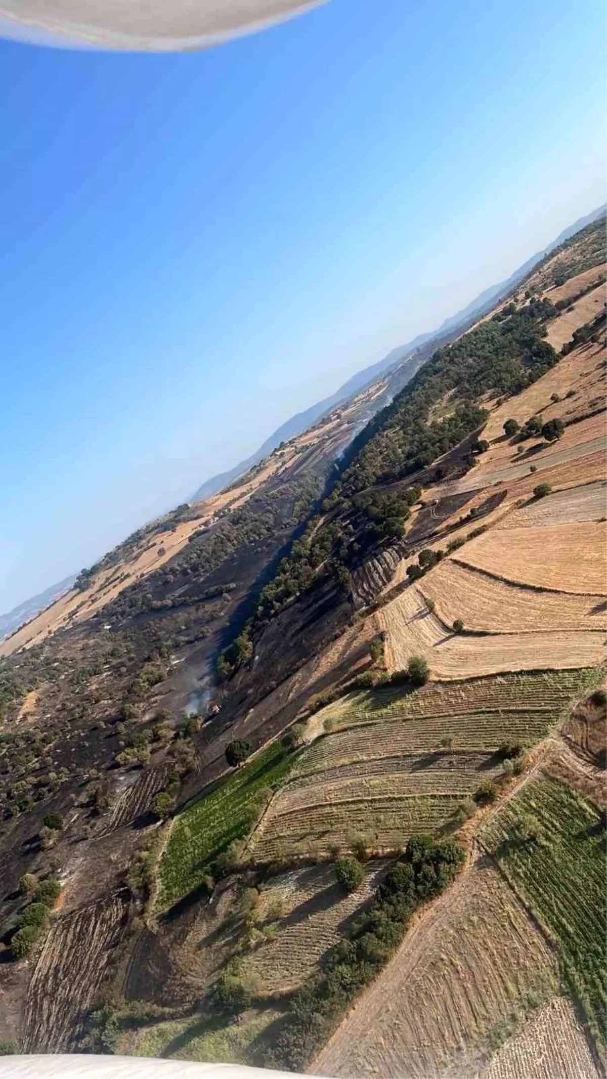 Balıkesir\'deki yangın kontrol altında