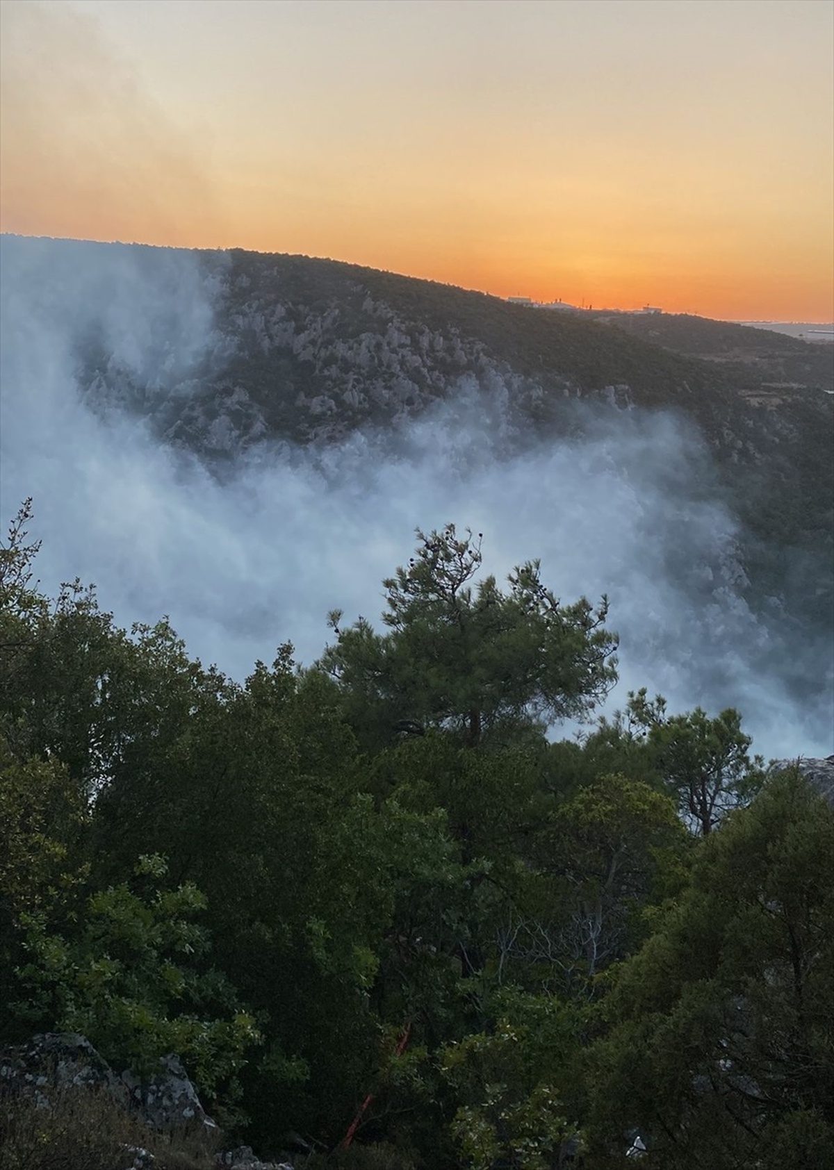 Bilecik\'te Orman Yangınına Havadan ve Karadan Müdahale